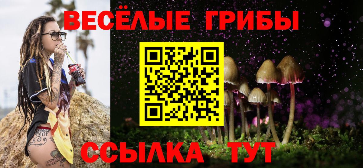 Галлюциногенные грибы Psilocybe  Вход с VPN  Черняховск 