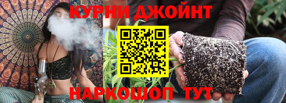 Каннабис семена  Вход с VPN  Марихуана White Widow  Бошки Шишки конопля  Черняховск  Шишки марихуана гибрид 